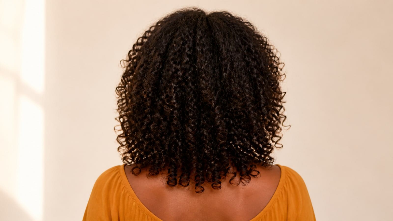 Back view of dense dark curls forming a rounded bob with a neck-level dry perimeter and visible curl groups